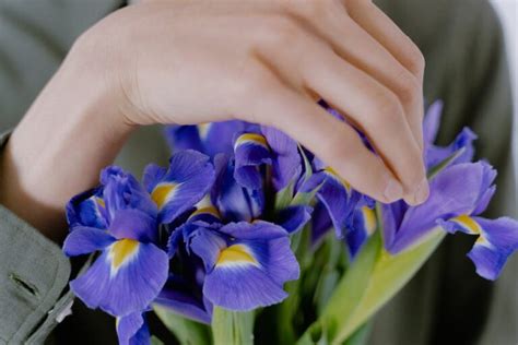wieviel parfum darf ich nach deutschland einführen